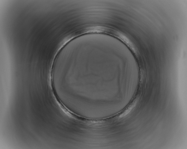 X0000115130802200911241444