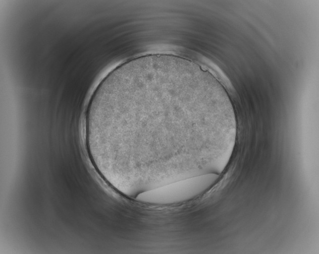 X0000115130804200911241444