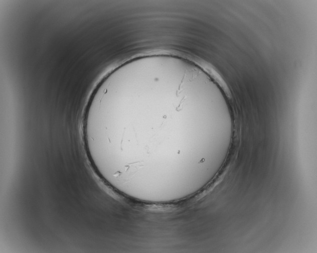 X0000115130805200911241444
