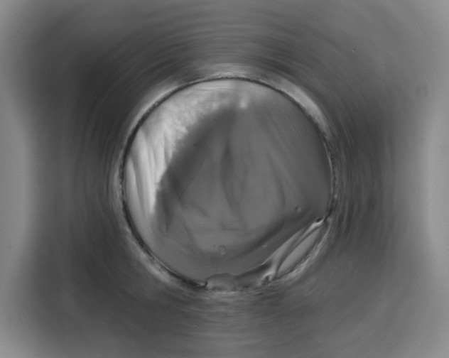 X0000115130806200911241444