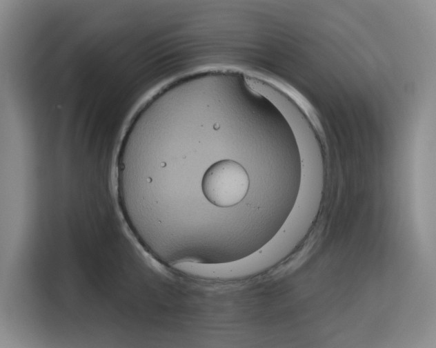 X0000115130807200911241444