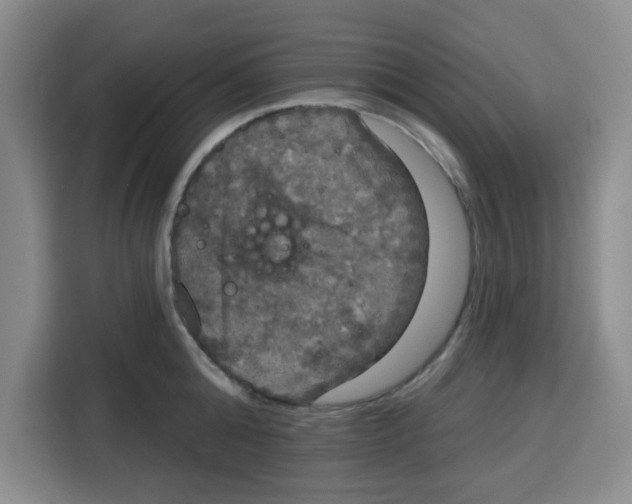X0000115130808200911241444