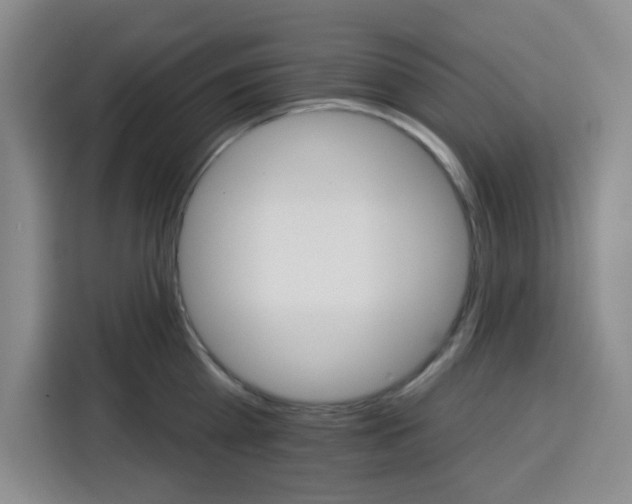 X0000115130809200911241444