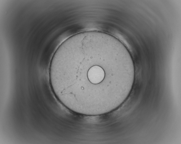 X0000115130810200911241444