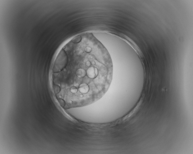 X0000115130812200911241444