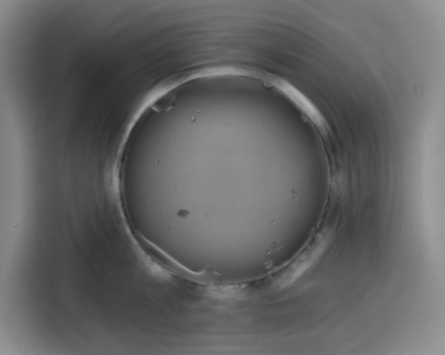 X0000115130813200911241444