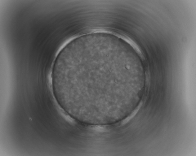X0000115130814200911241444