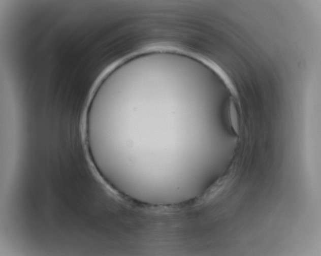 X0000115130815200911241444