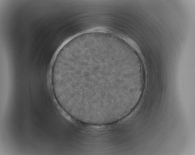 X0000115130816200911241444