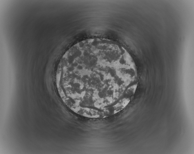X0000115130817200911241444