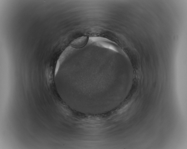 X0000115130818200911241444
