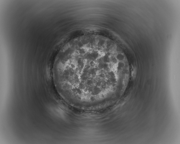 X0000115130819200911241444