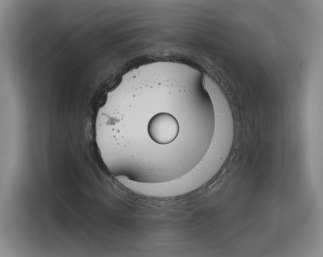 X0000115130820200911241444