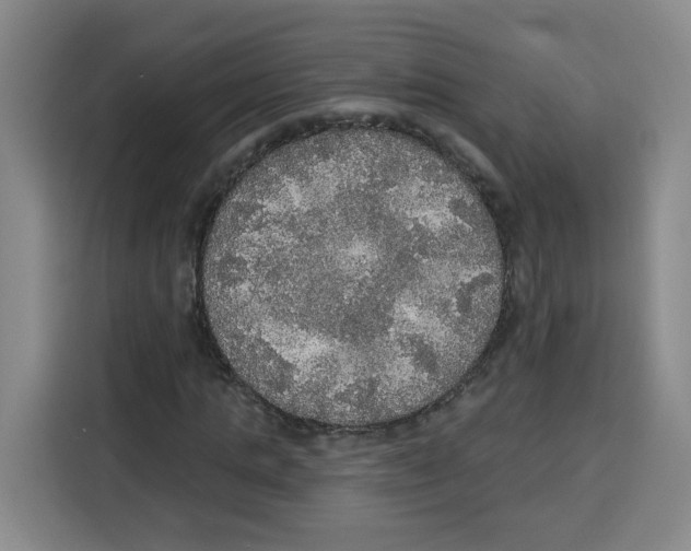 X0000115130821200911241444