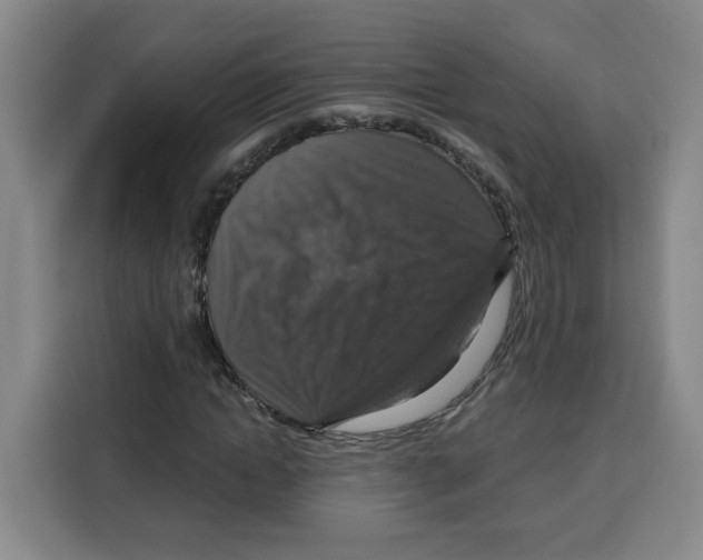 X0000115130822200911241444