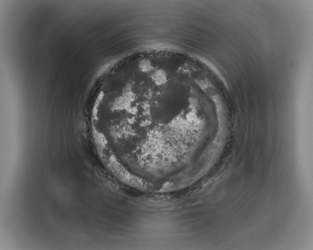 X0000115130823200911241444