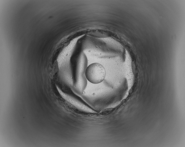 X0000115130824200911241444