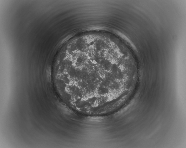X0000115130825200911241444