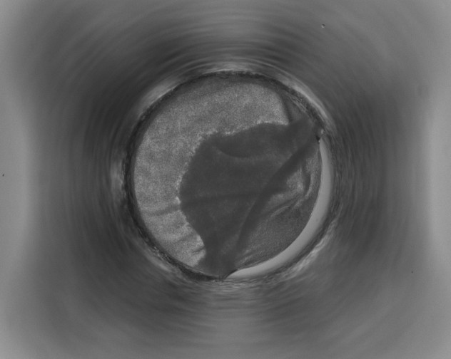 X0000115130826200911241444