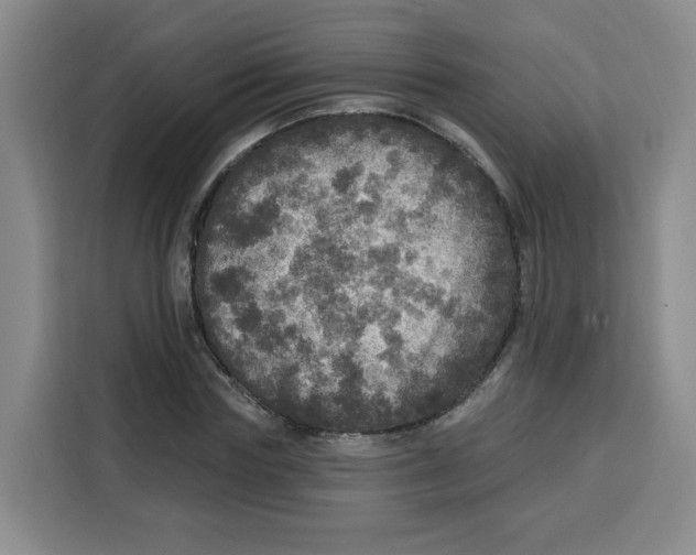 X0000115130827200911241444