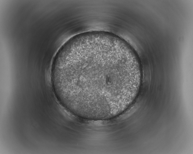 X0000115130828200911241444