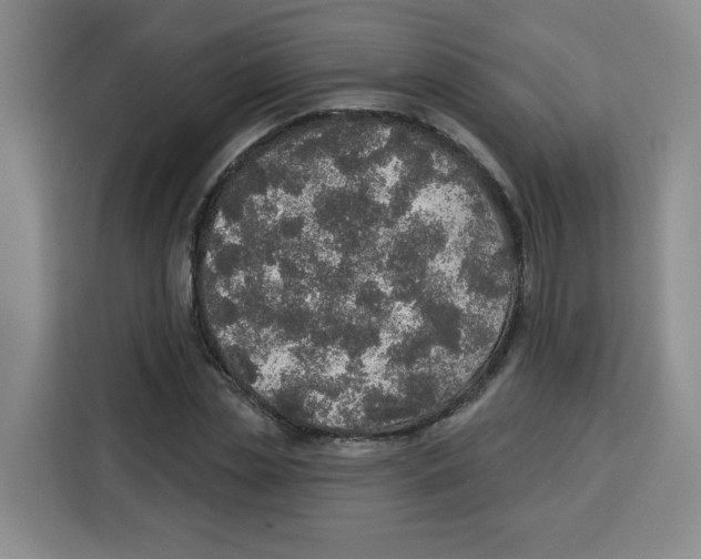 X0000115130829200911241444