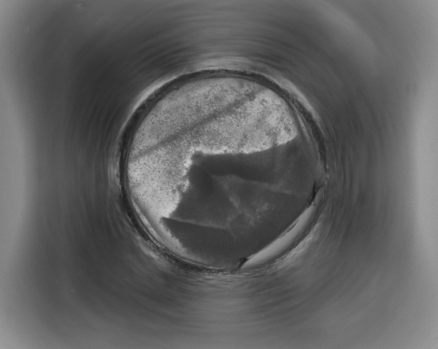 X0000115130830200911241444