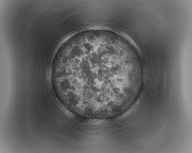 X0000115130831200911241444