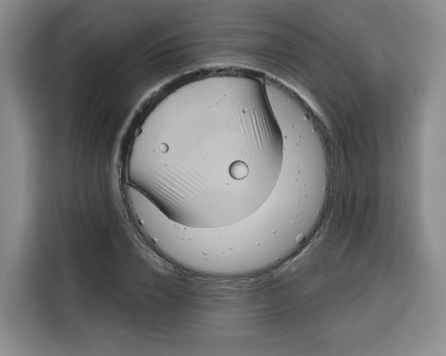 X0000115130832200911241444