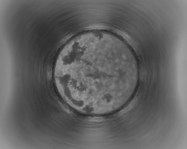 X0000115130833200911241444