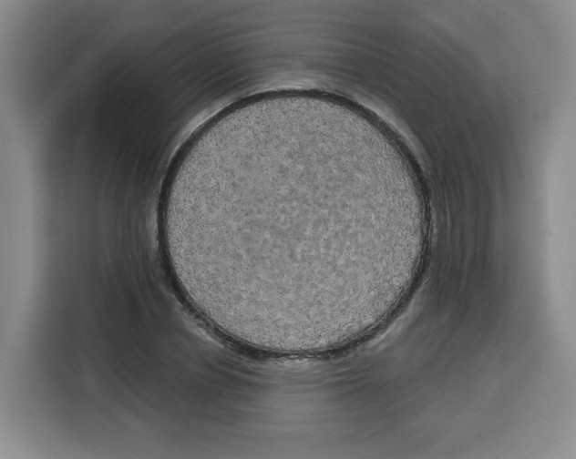 X0000115130834200911241444