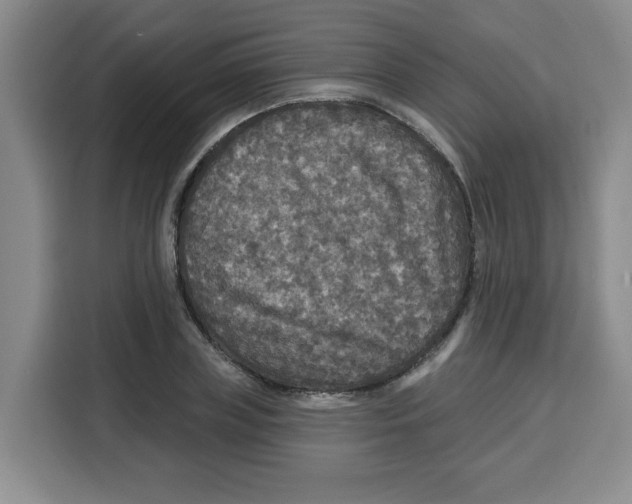 X0000115130835200911241444