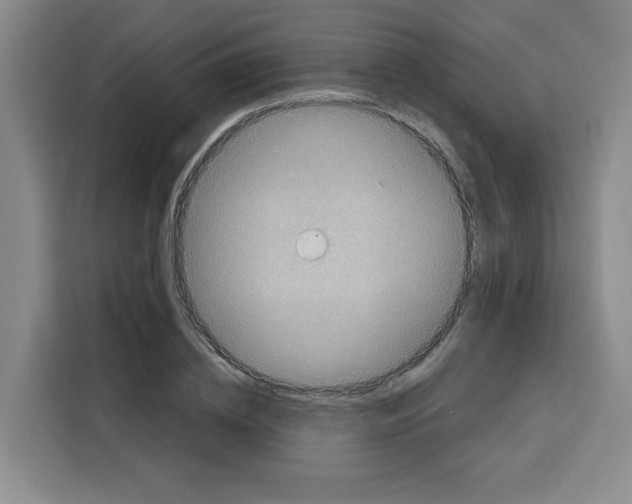 X0000115130836200911241444