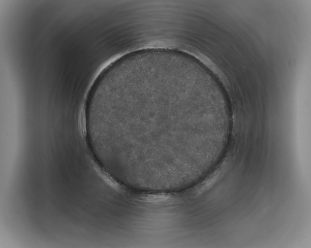 X0000115130838200911241444