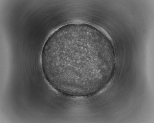X0000115130839200911241444