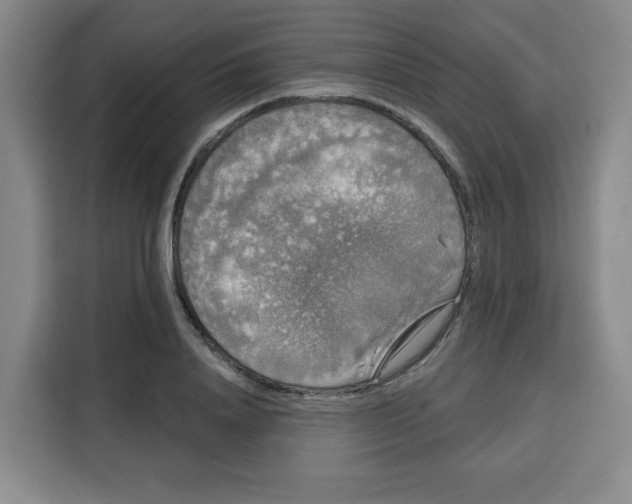 X0000115130840200911241444