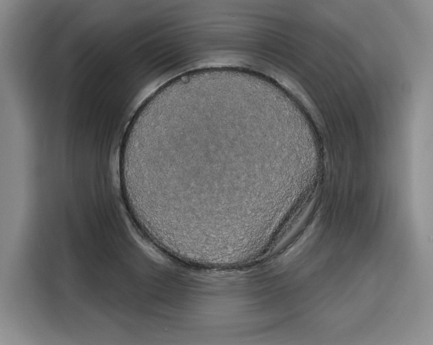 X0000115130842200911241444