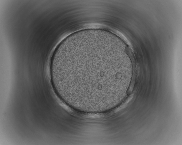 X0000115130843200911241444