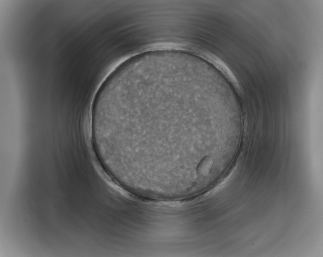 X0000115130844200911241444