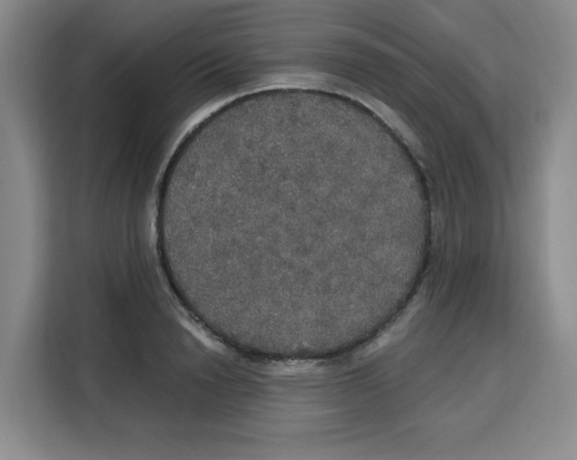X0000115130846200911241444