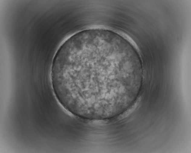 X0000115130847200911241444