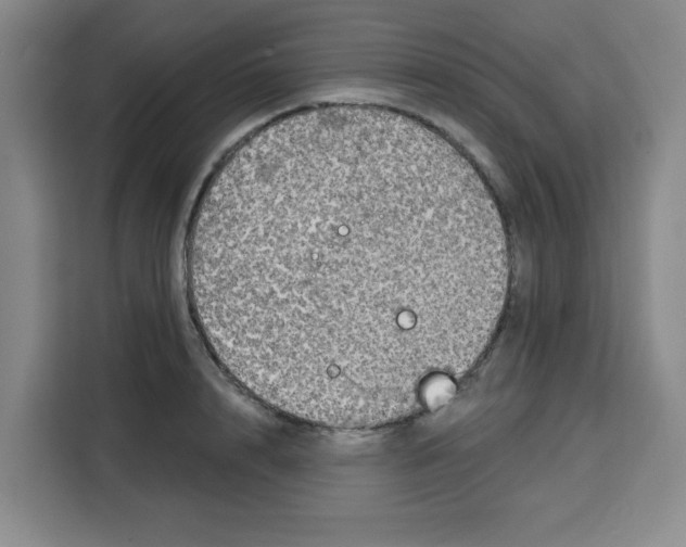 X0000115130848200911241444
