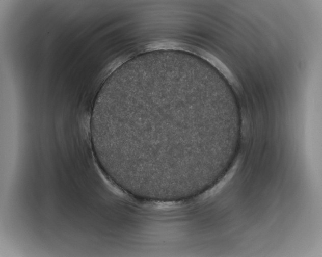 X0000115130849200911241444