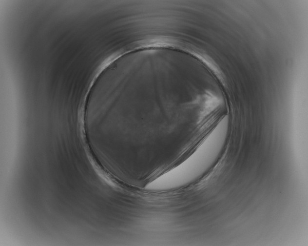 X0000115130850200911241444