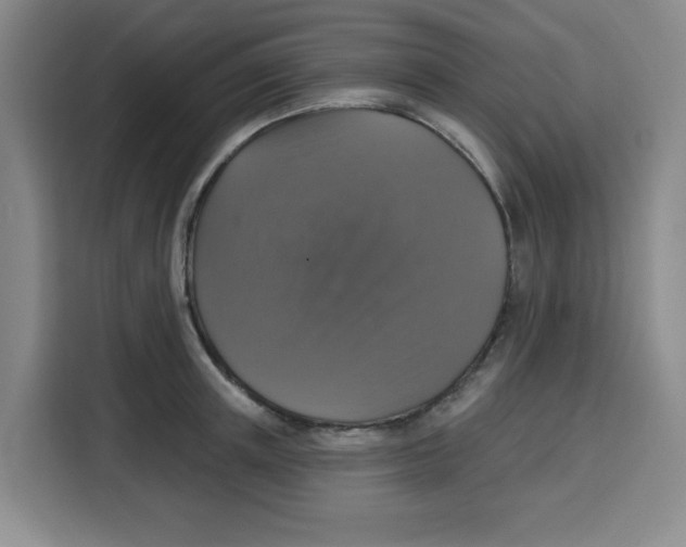 X0000115130851200911241444