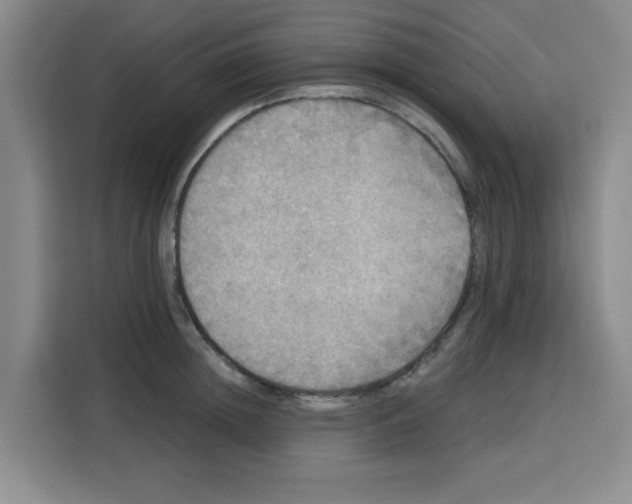 X0000115130852200911241444