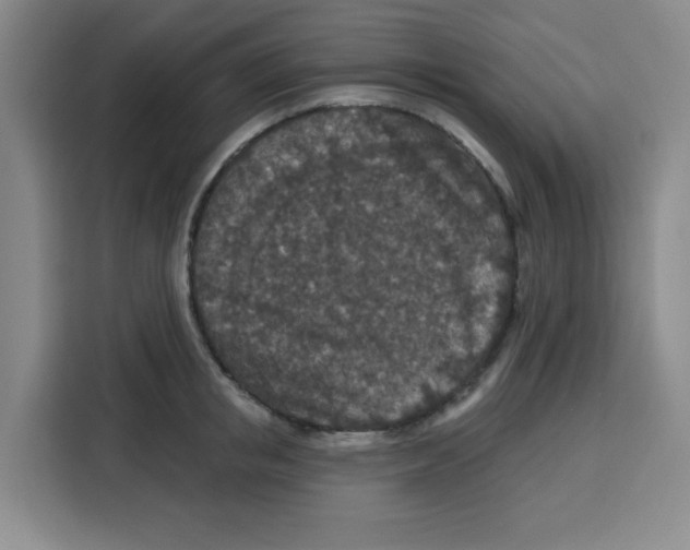 X0000115130853200911241444