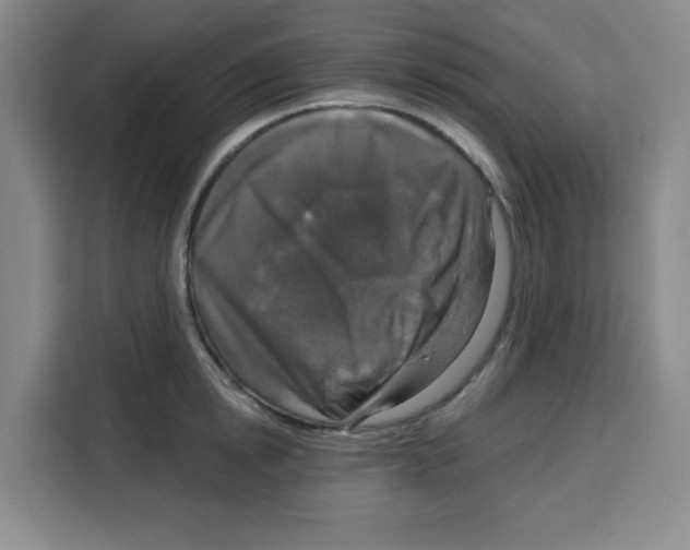 X0000115130854200911241444