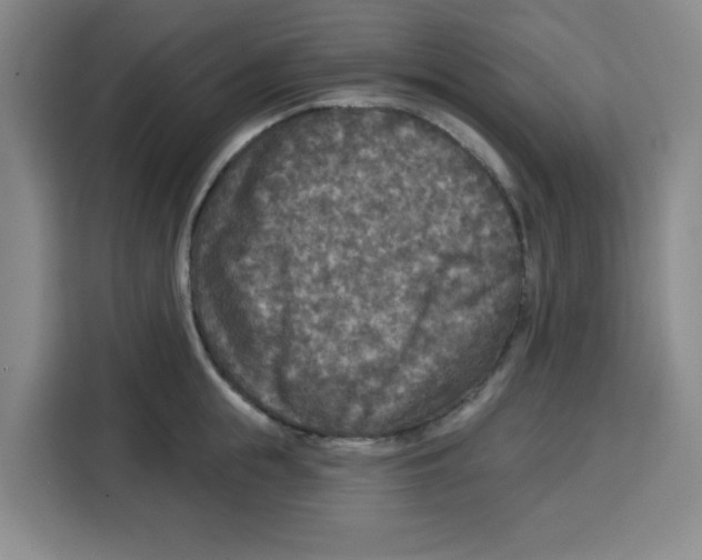 X0000115130855200911241444