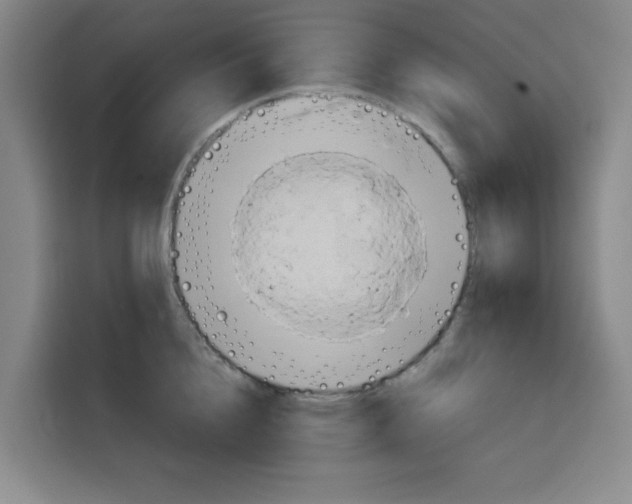 X0000115130856200911241444
